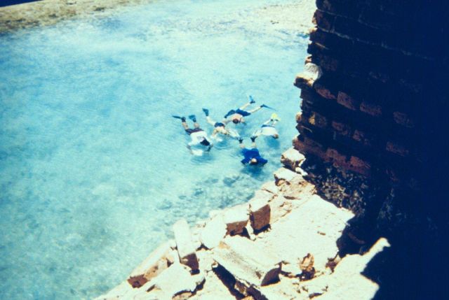 Snorkelers studying marine life in the moat Picture