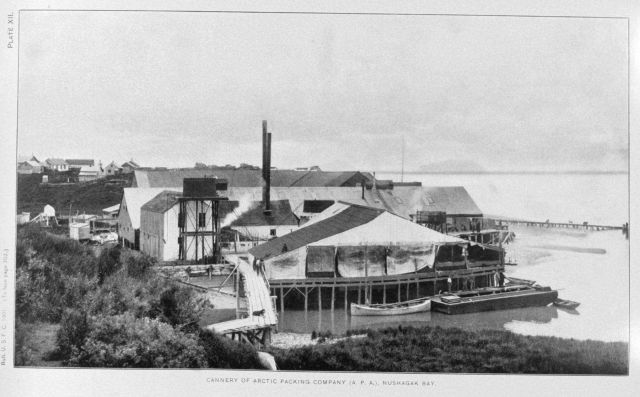 Cannery of Arctic Packing Company (A Picture