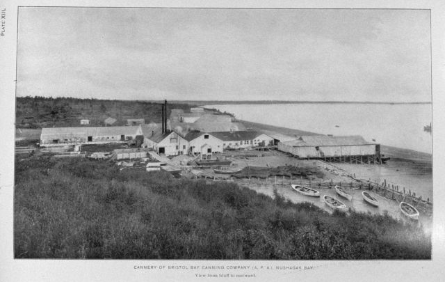 Cannery of Bristol Bay Packing Company (A.P.A.) Nushagak Bay Picture