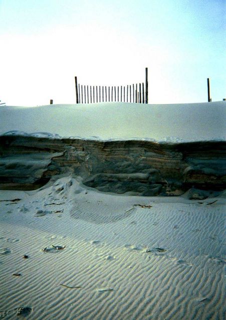 Horizontal sand laminations show along eroding dune Picture