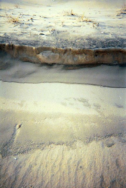 Eroding dune. Picture