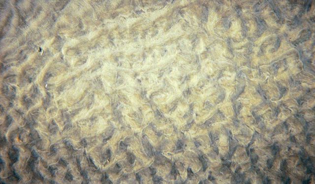 A beautiful ripple pattern in the tidal zone. Picture