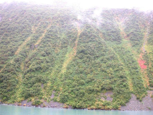 Kenai Fjords area from offshore showing low brush and beginnings of fall colors. Picture