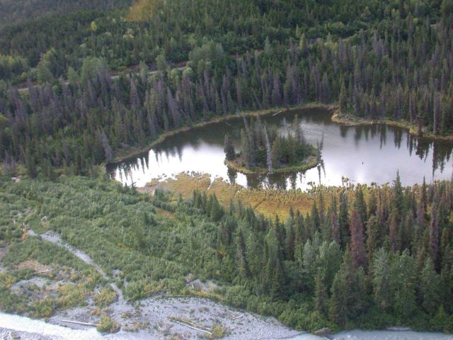 Float plane sightseeing along the Richardson Highway Picture