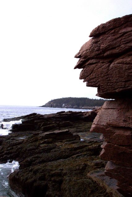 The view towards Otter Cliffs from Thunder Hole. Picture