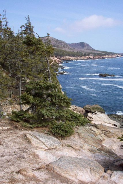 Looking north from the Otter Cliffs. Picture