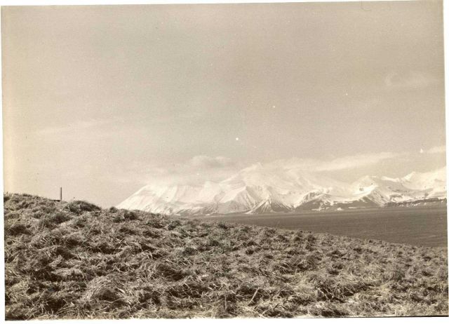 Coastal view. Picture