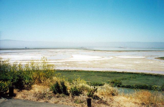 Salt flats at the south end of San Francisco Bay as seen from the Redwood City area. Picture