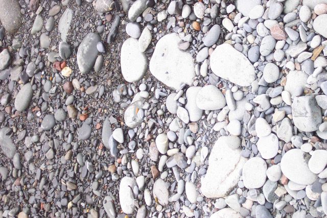 The high tide line is marked by wet rocks on the left and dry on the right on the cobble beach at West Quoddy Head. Picture