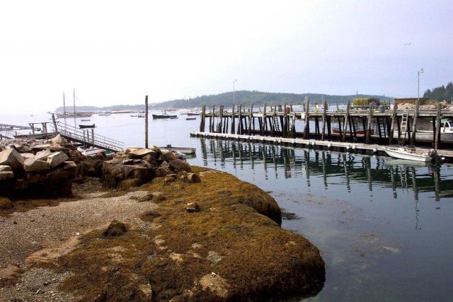 The harbor at Stonington Maine on the south end of Deer Isle. Picture