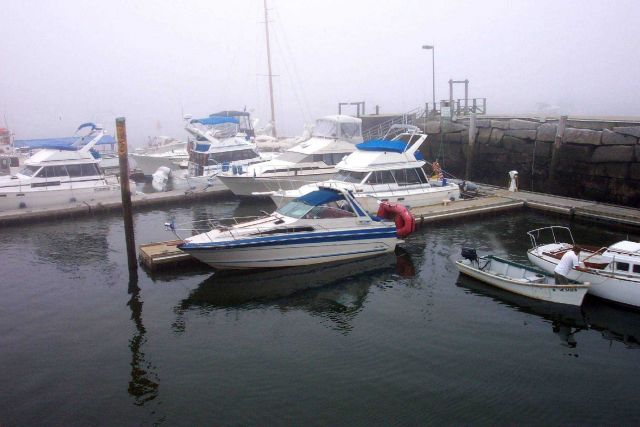 The harbor at Belfast on a foggy morning. Picture