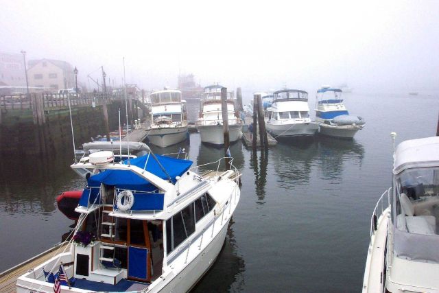 The harbor at Belfast on a foggy morning. Picture