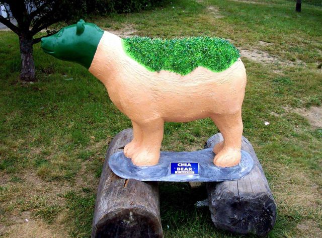 The Belfast Bearfest, an annual public art event running from early June through October Picture