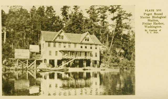 Puget Sound Marine Biological Station at Friday Harbor Picture