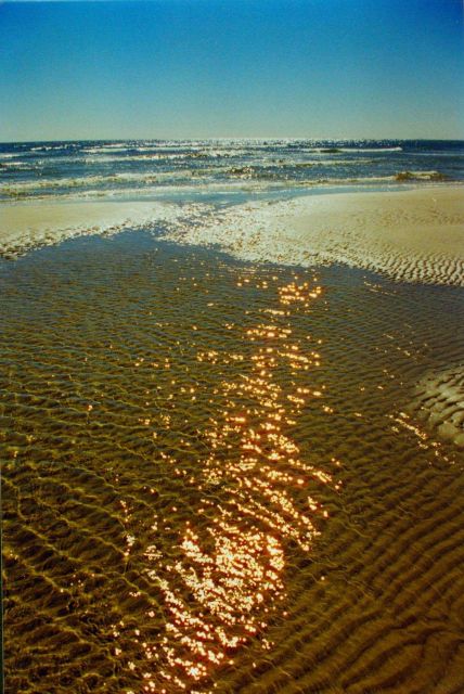 The swash zone at Nanny Goat Beach Picture