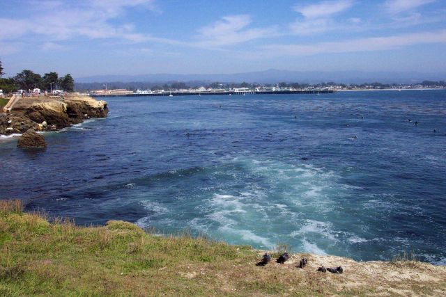 The Santa Cruz wharf with Loma Prieta in the background as seen from Lighthouse Point. Picture