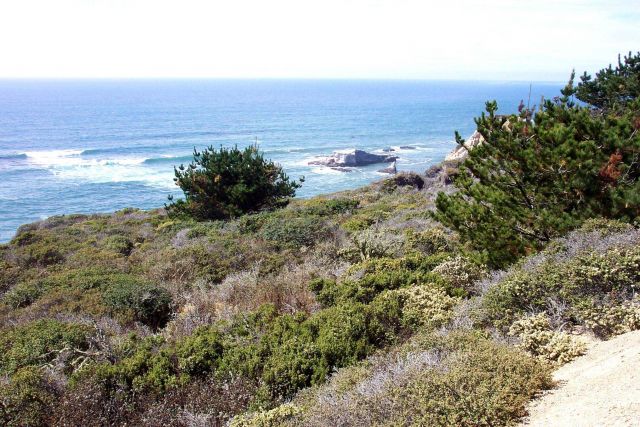 A seaview along the coast near Davenport. Picture