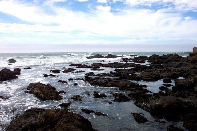 Rocky shore, tide pools and surf north of Pigeon Point. Picture