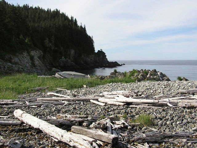 Elrington Point, Prince William Sound area. Picture