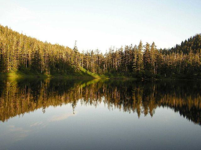 Reflections on a sheltered cove in vicinity of Elrington Point Picture