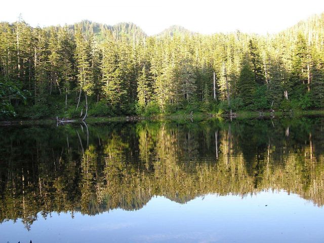 Reflections on a sheltered cove in vicinity of Elrington Point Picture