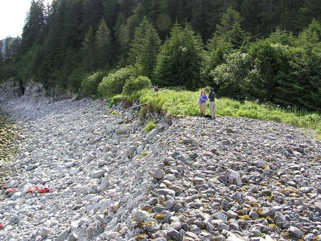 Cobble beach at Elrington Point. Picture