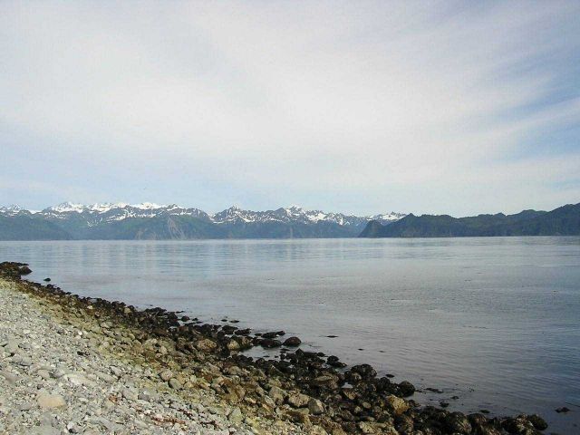 A cobble beach in Prince William Sound. Picture