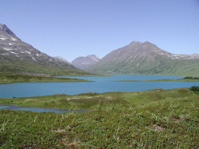 On the Alaska Peninsula in the vicinity of Kuiutka Bay. Picture