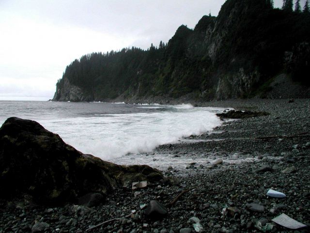 The cobble beach at Point Elrington. Picture