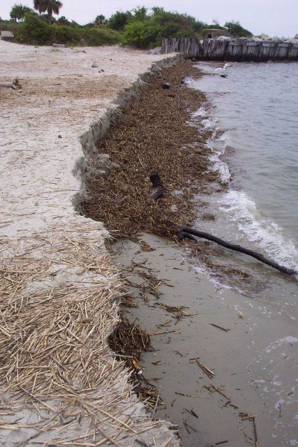 Erosion near Fort Moultrie. Picture