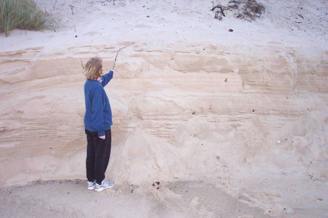 Erosion from fall storms affecting part of the Cape Henry dunes. Picture