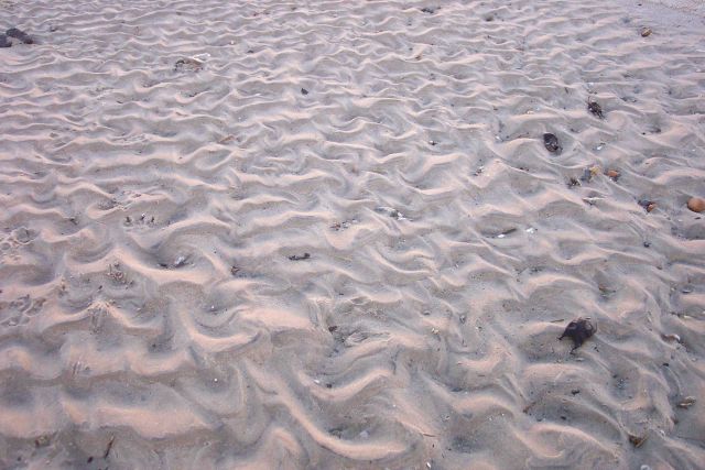 Ripple marks in a tidal channel at low tide at Cape Henry. Picture