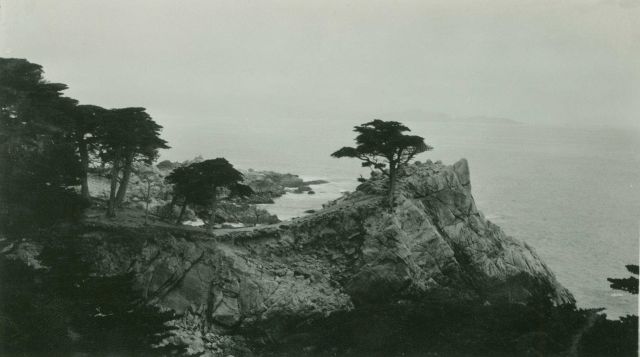 The famous Cypress Point along Seventeen Mile Drive. Picture