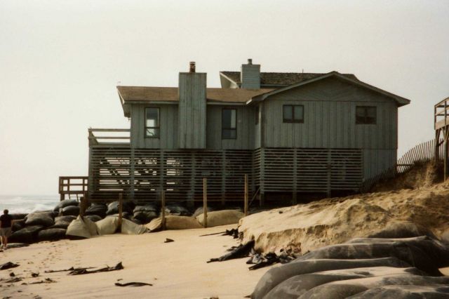 Coastal erosion on a barrier island. Picture