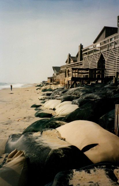Attempts to stem coastal erosion stemming from rising sea level and periodic migration of sand on barrier islands and coastal dunes. Picture