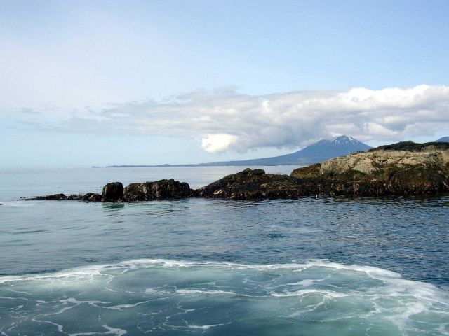 Coastal scene in southern Alaska. Picture