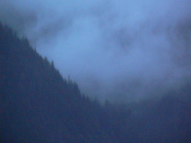 Fog and rain make for a gloomy day. Picture
