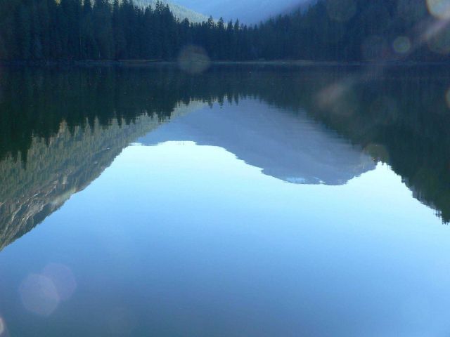 Reflections on a summer afternoon. Picture