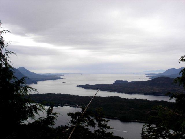 Trees, water, and mountains. Picture