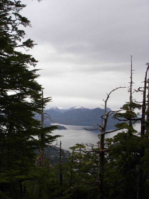 Trees, water, and mountains. Picture