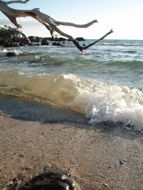 Beach and surf scene on a rocky shore. Picture