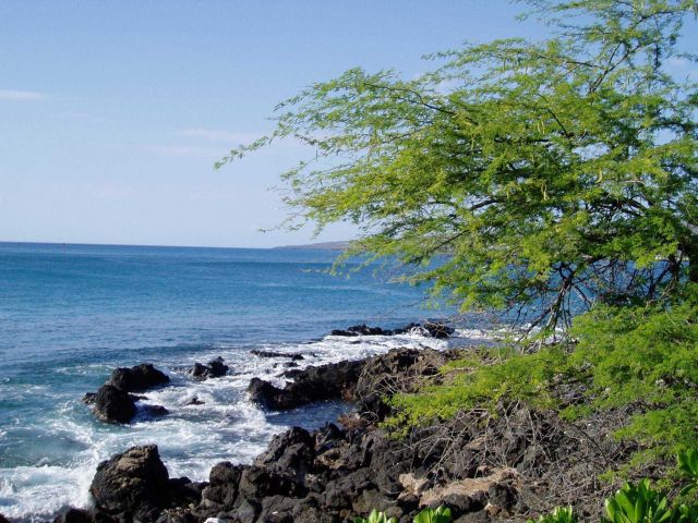 A rocky lava shoreline. Picture