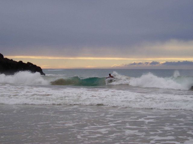 Boogey border getting it on. Picture