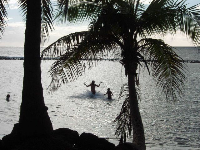 Time for a dip in an enclosed fish pond. Picture