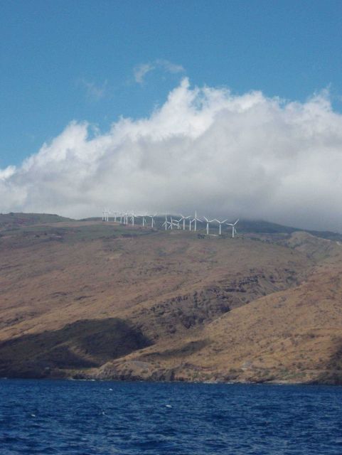 Kaheawa wind energy site on the west end of Maui Picture