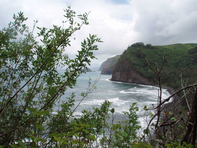 Sheer cliffs meeting the sea. Picture