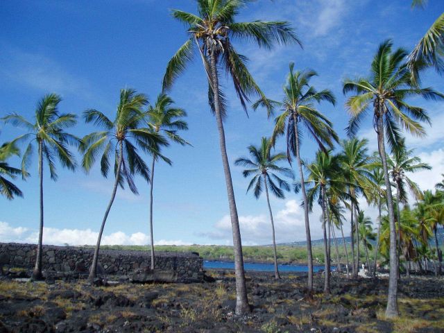 City of Refuge, Kona Coast. Picture