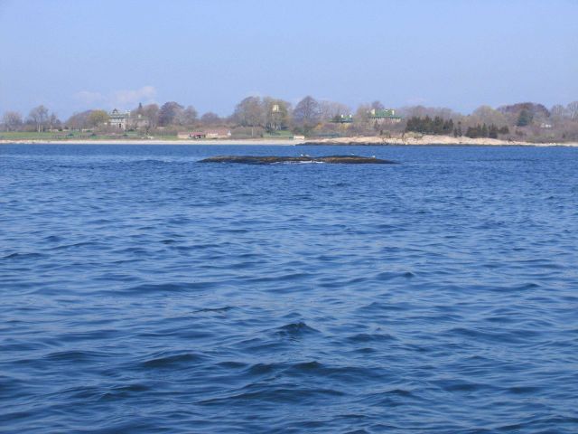 Long Island shoreline looking over a rock ledge to mansions on the shore. Picture