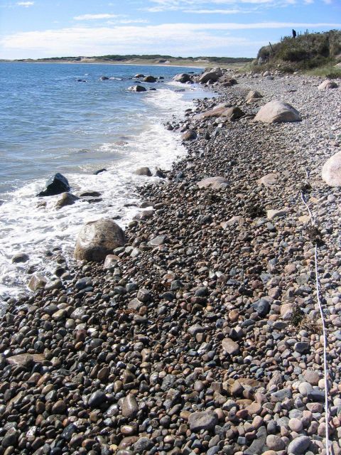 A boulder and cobble beach at Quicks Hole. Picture
