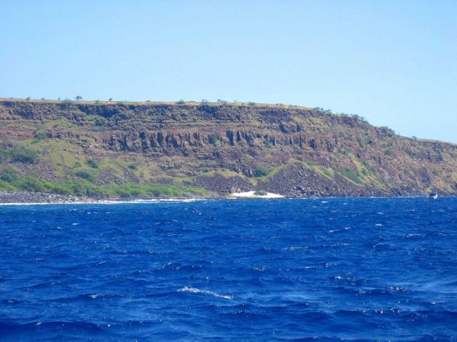 Plant life taking hold on less recent lava flows at the edge of the sea. Picture
